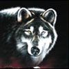 32wolf