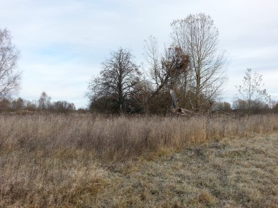 20151029_104333.jpg