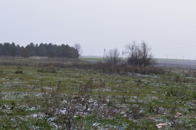 DSC_0274.JPG