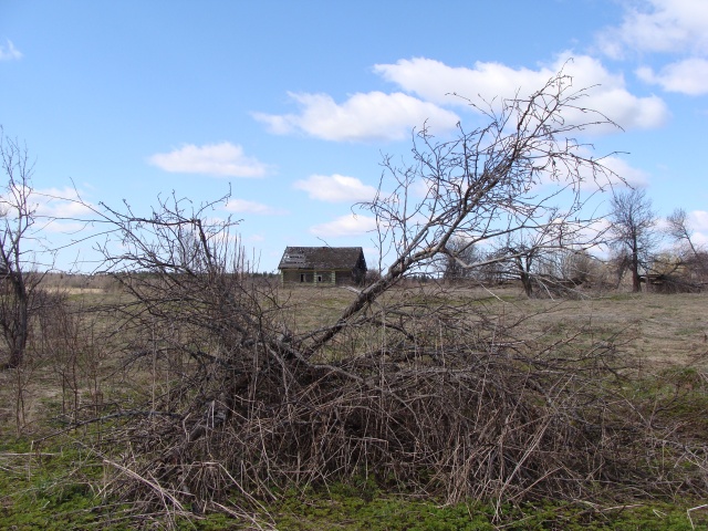 DSC00655_sm.jpg