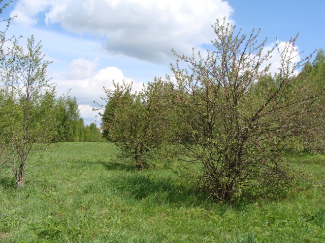 DSC01094_sm.jpg